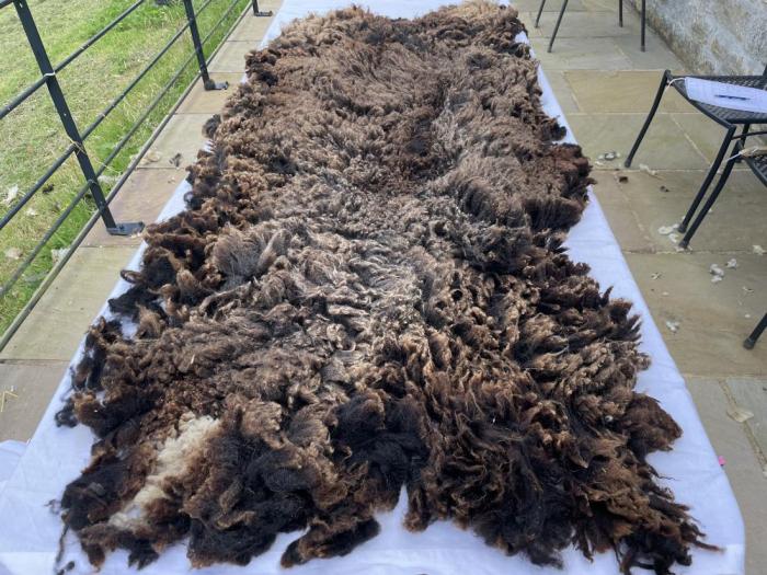 2024 Shetland Fleece from Patch