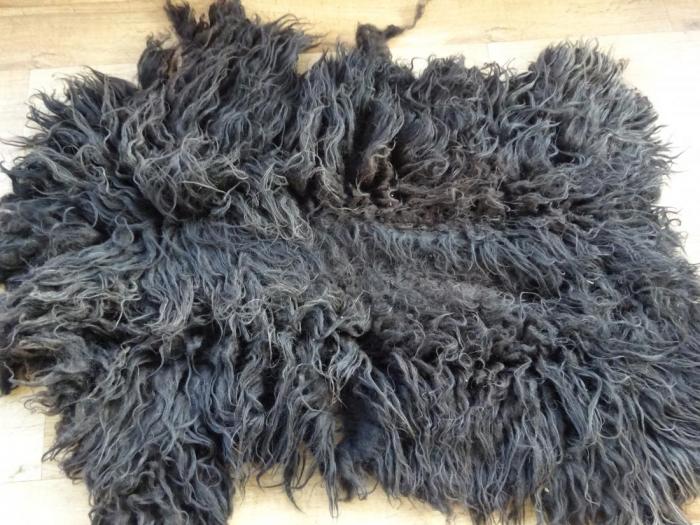 2024 Hebridean Shearling Fleece from Hogg